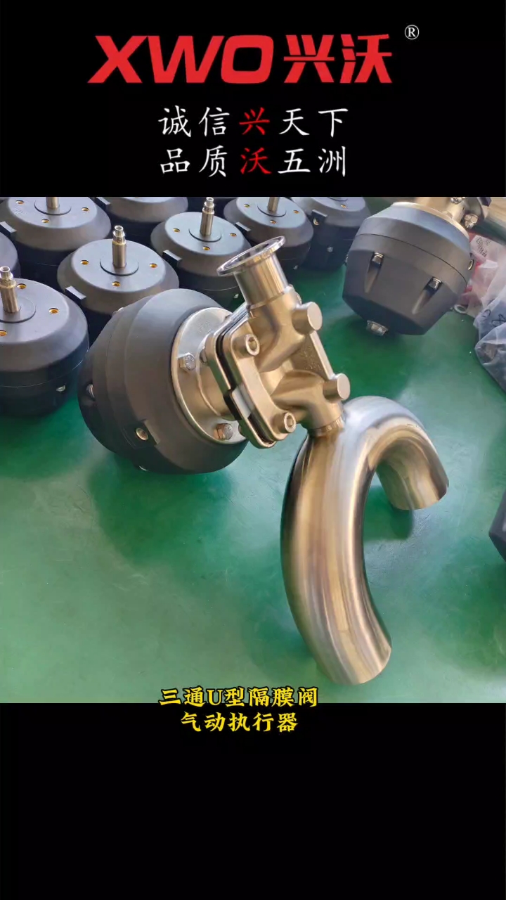 开运体育控股有限公司隔膜阀与其他类型阀门的性能分析(图1)